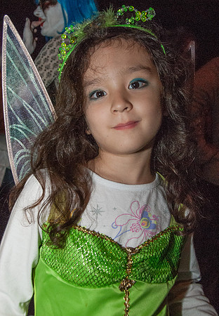 _DSC0335