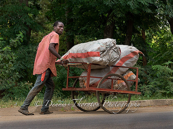 Man pushing cart  _DSC1002