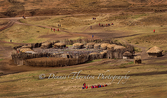 Landscape - Maasai Village  _DSC2228