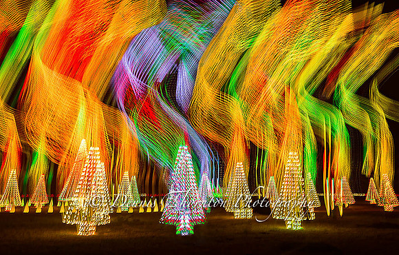 14 Trees of Neon_