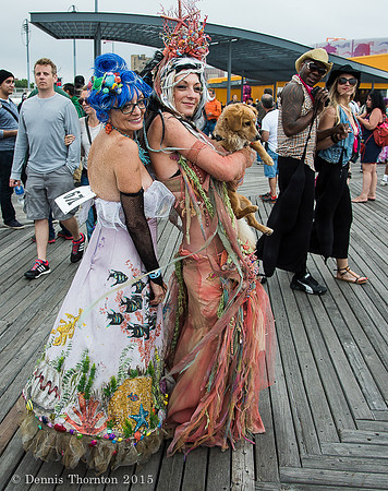 _DSC0399sailor lady